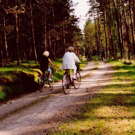 Kleine Auszeit - Natur Und Erholung In Mecklenburg Reimershagen Εξωτερικό φωτογραφία