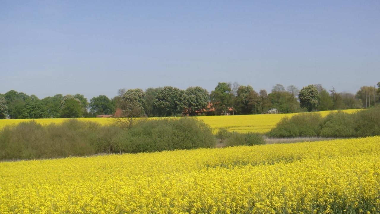 Kleine Auszeit - Natur Und Erholung In Mecklenburg Reimershagen Εξωτερικό φωτογραφία